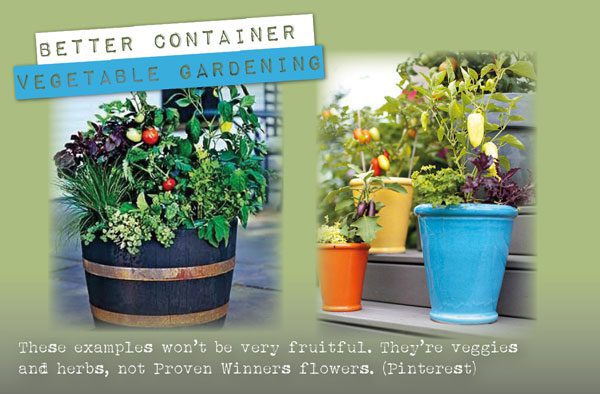 Container vegetable garden