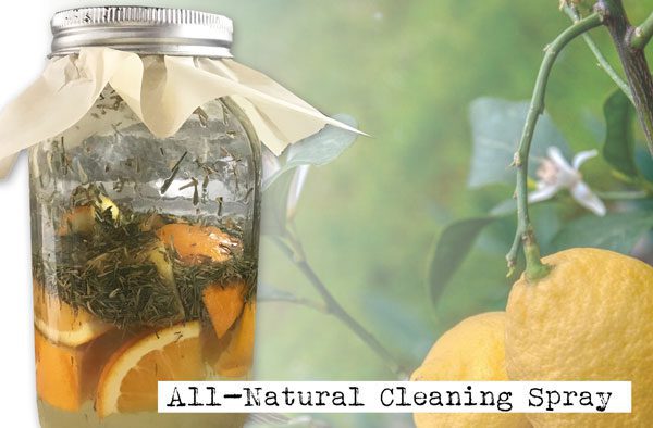 DIY all natural disinfectant