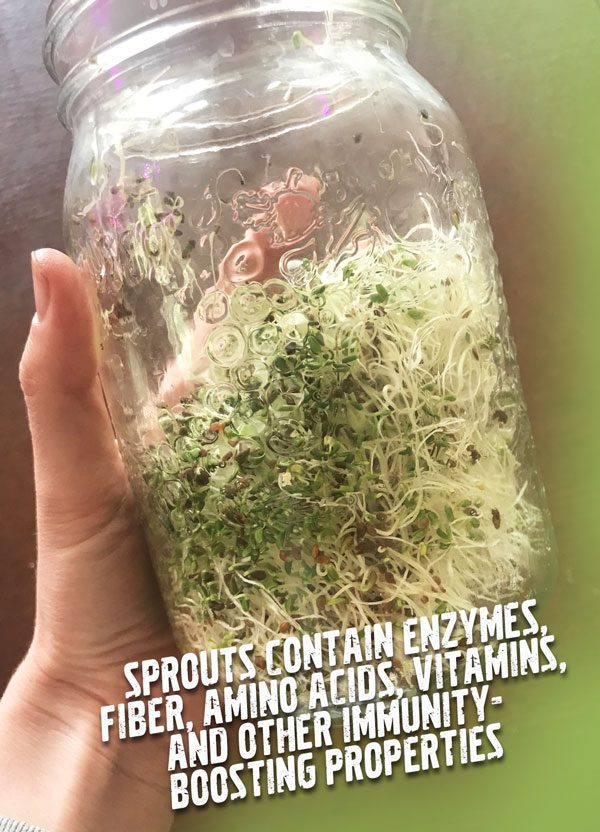 Grow Sprouts