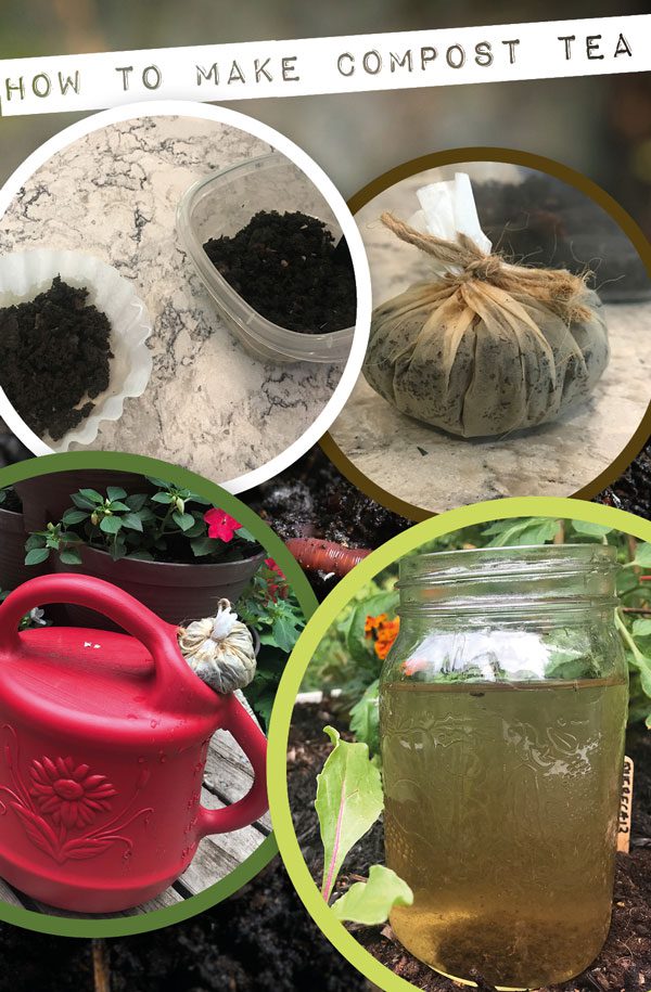 compost tea DIY