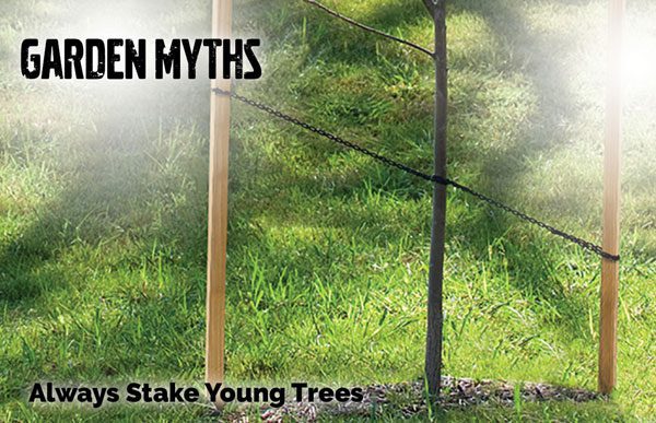 garden myths