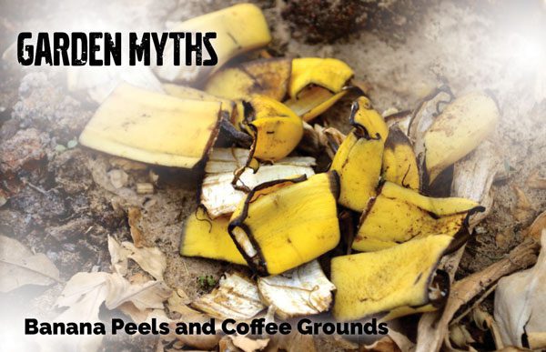 garden myths