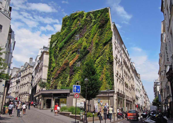 Vertical-Garden-Paris-Patrick-Blanc(2)