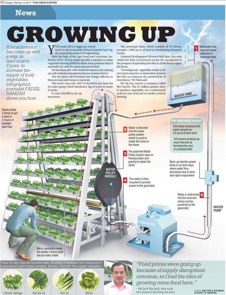A-Go-Gro Hydraulic Vertical Farming System - Singapore