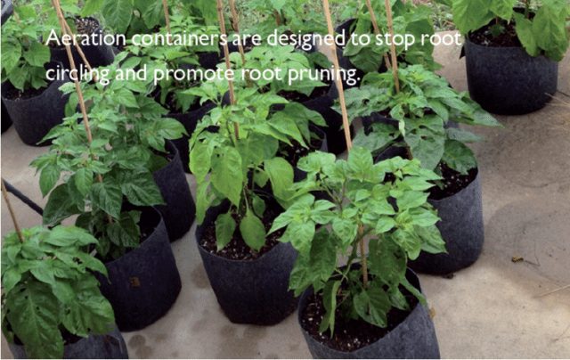 Aeration Containers & Fabric Pots Air Prune Roots