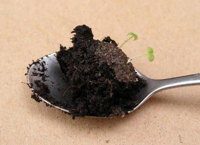 Balanced Amendments Make Reusing Potting Soil Successful