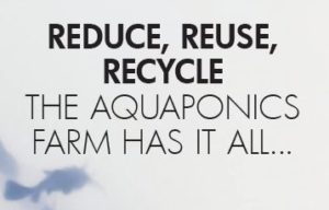 Aquaponics Is Efficient Food Security