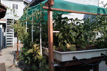 Off-Grid Aquaponics Village - Garden Culture Magazine