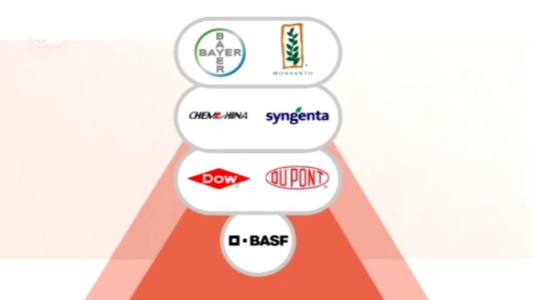 Bayer - Monsanto Merger = World's Largest Agrichemical Company