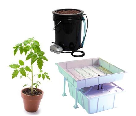 What's the Best Indoor Gardening Method?