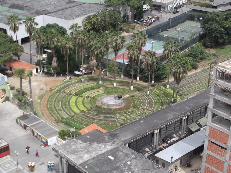 Chavez' Urban Farming Program - Caracas, Venezuela