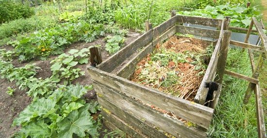 Compost: Key Organic Gardening Ingredient