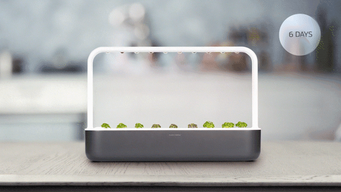 Grow Your Own Effortlessly with Smart Garden 9