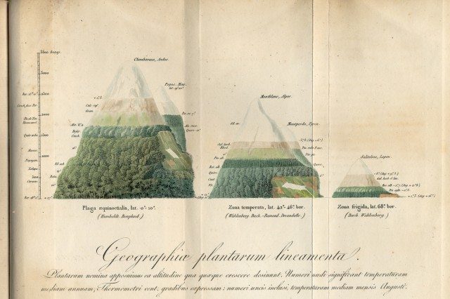 Geographic Plants Lineament: Kosmos, von Humboldt