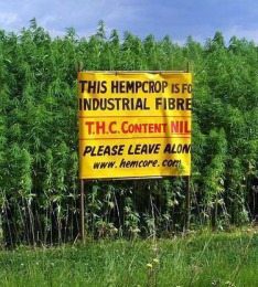 Industrial Hemp Is Not A Drug - THC=NIL