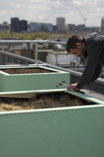 Lightweight Rooftop Garden Planters - Connected Roots, London