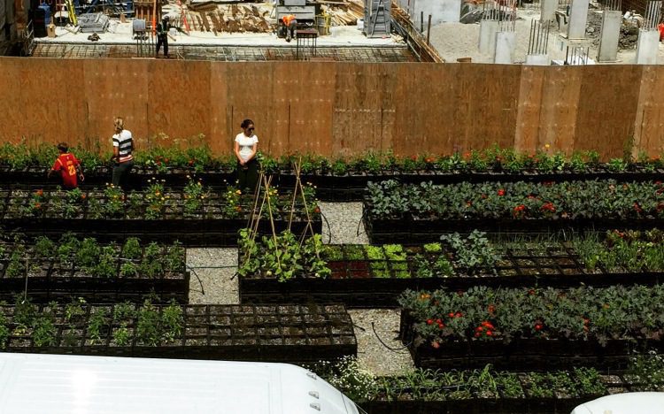 Mobile Urban Farming: Bowery Project, Toronto