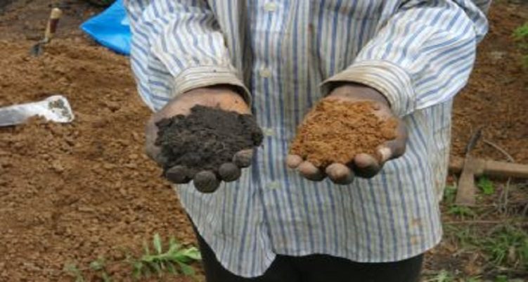 Native Soil vs. African Soil Building Technique Enriched Earth
