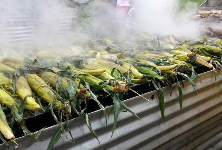 Old Fashioned Wood Fire Corn Roast: Flavor Can't Be Beat!