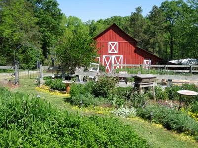 Win This Organic Farm: Highly productive herb & vegetable beds