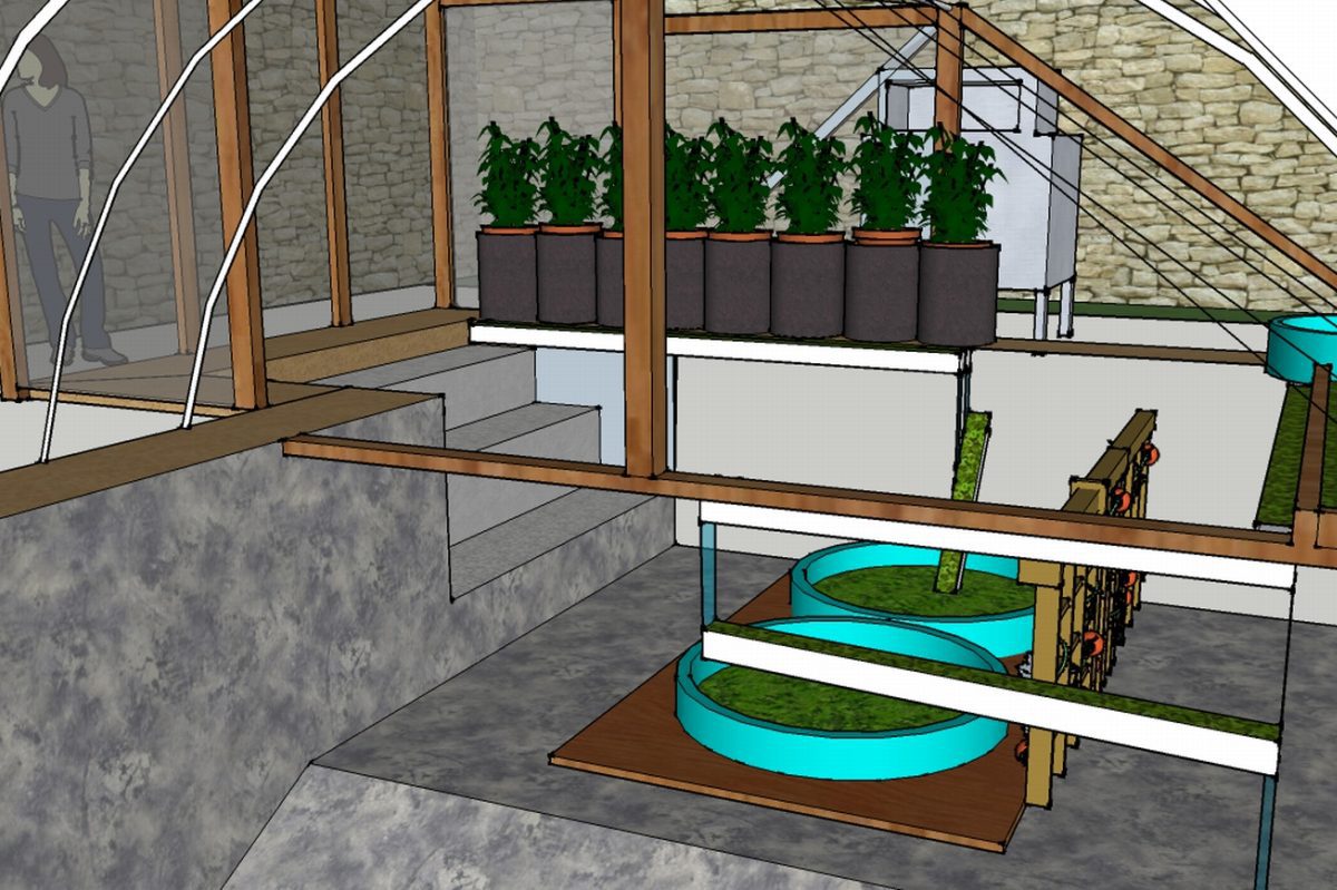 hydroponic swimming pool