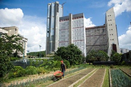 Urban Farming in Central Caracas