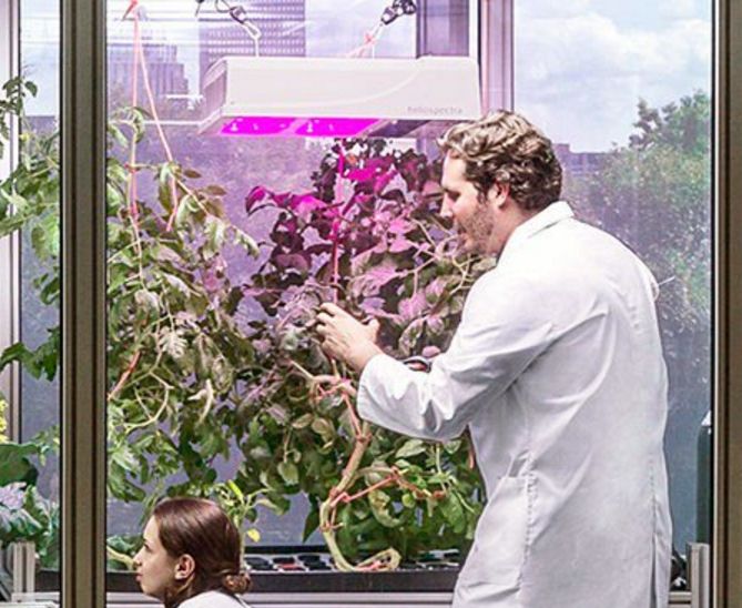 Vertical Farming: MIT and Target Stores