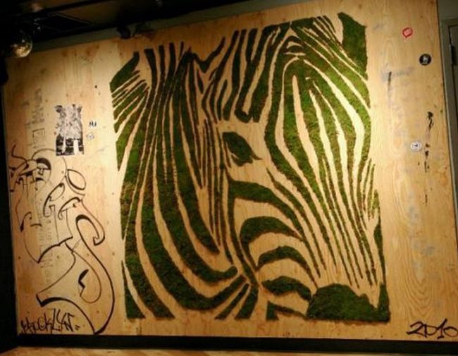 Zebra Moss Graffiti