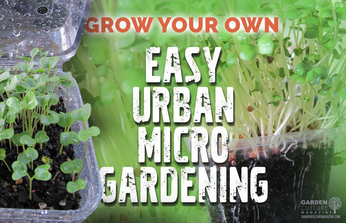 Micro gardening