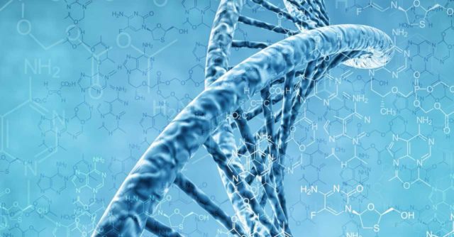 about-plant-genetics-breeding