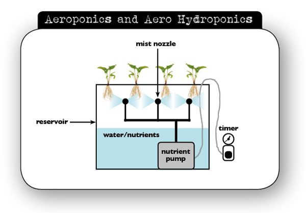 Aeroponics Hydroponics