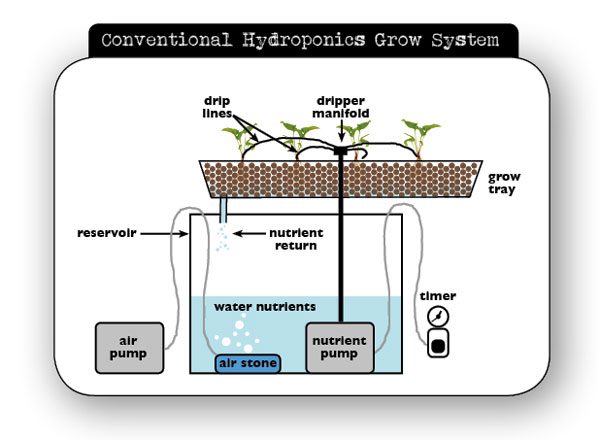 Conventional Hydroponics