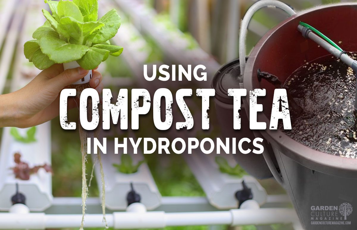 compost tea hydroponics
