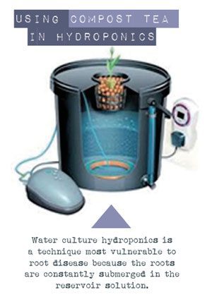 compost tea in hydroponics