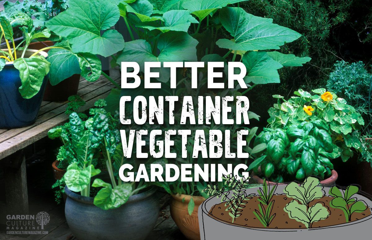 container vegetable garden