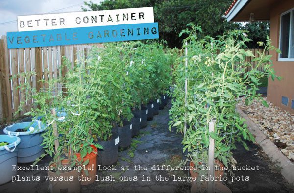 container vegetable garden