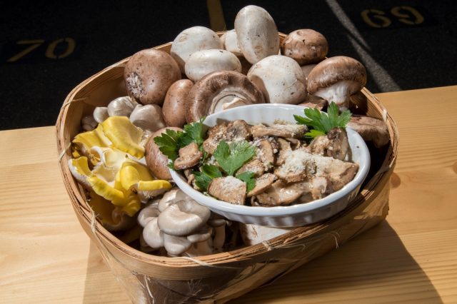 health benefits of mushrooms