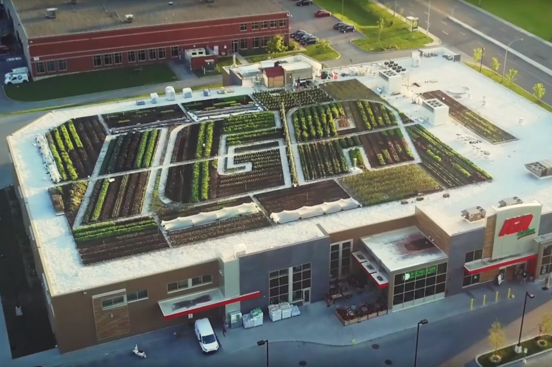 Montreal IGA Grows Its Own Rooftop Garden Garden Culture Magazine