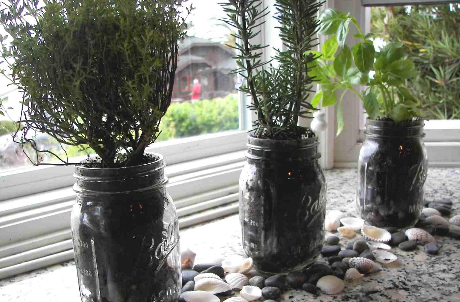 Plant containers