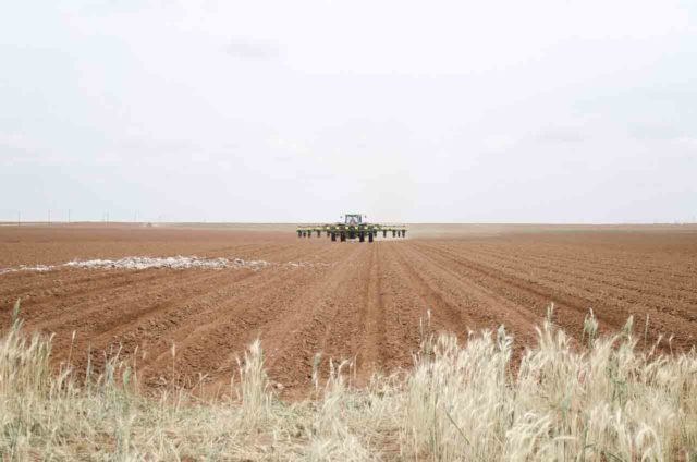 Dangers of dicamba