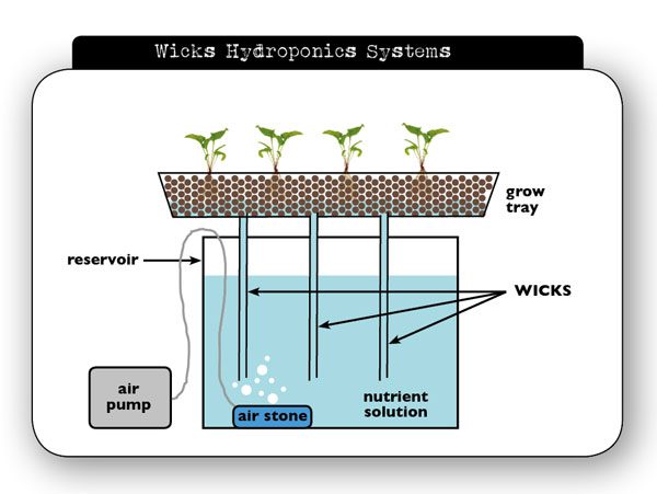 wicking hydroponics