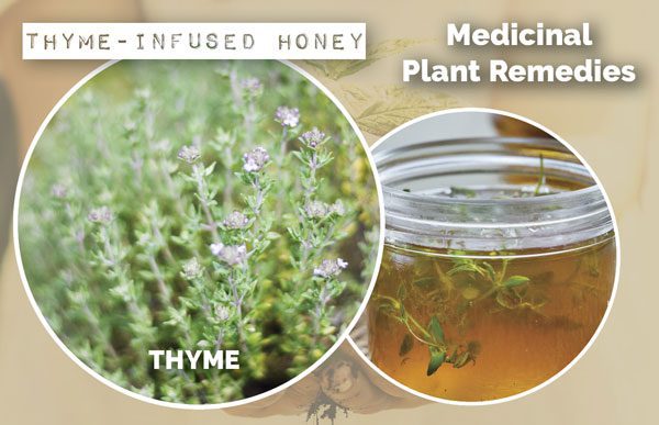 Thyme-Infused Honey