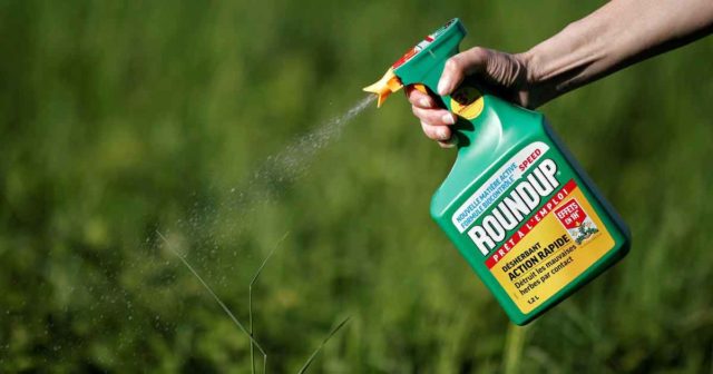 Monsanto weed killer round up