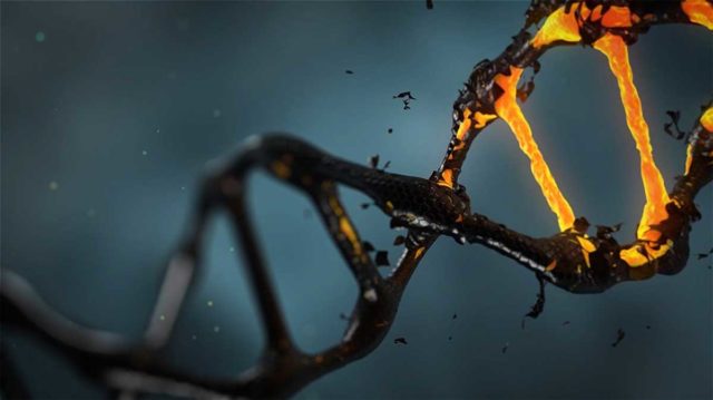 gene-edited is the same as gmos