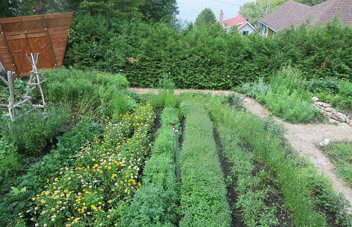 The Healing Powers Of Medicinal Gardens Garden Culture Magazine