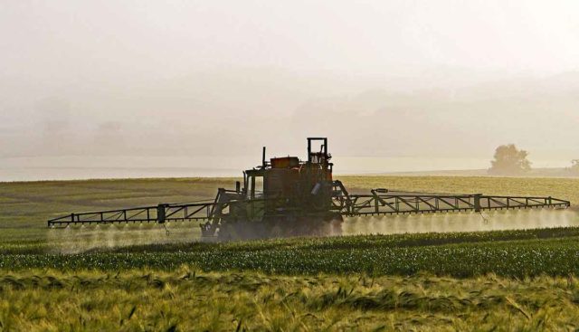 Tractor spraying Roundup over crop