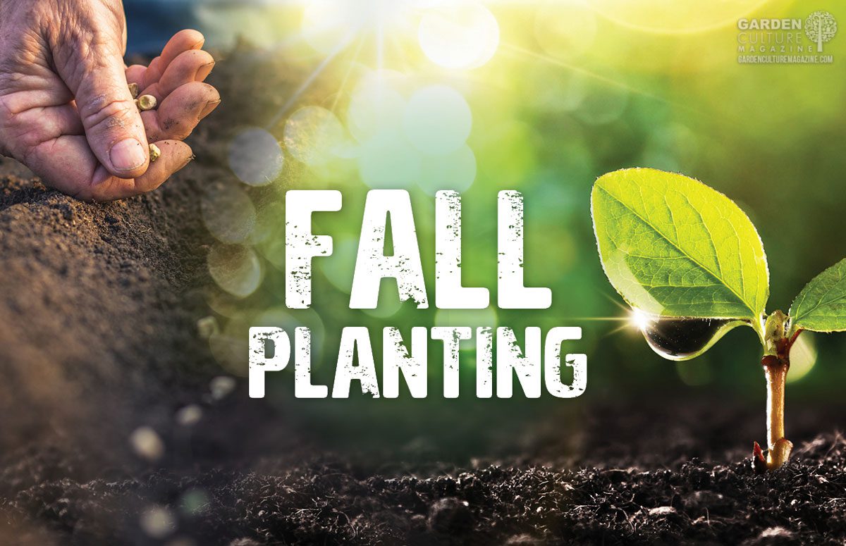 fall planting