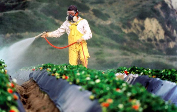 Farmer spraying pesticides with glyphosate