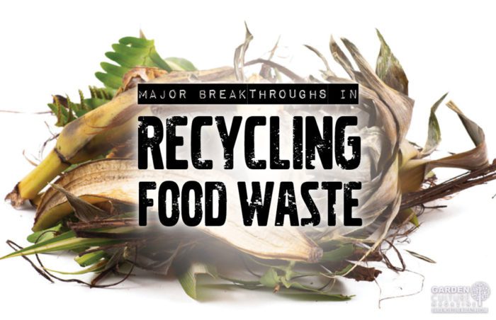 recycling food waste
