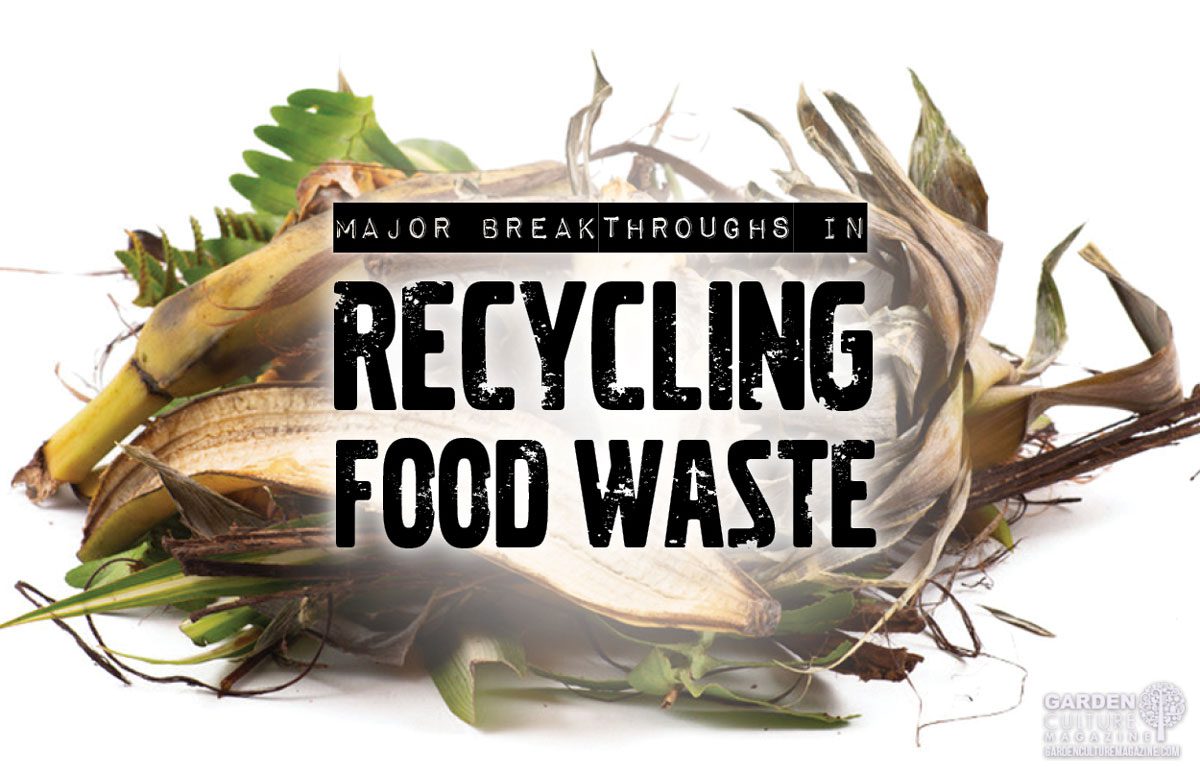 recycling food waste